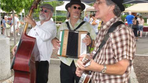 Swamp in the City: a Cajun & Creole Music Festival
