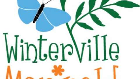 Winterville Marigold Festival