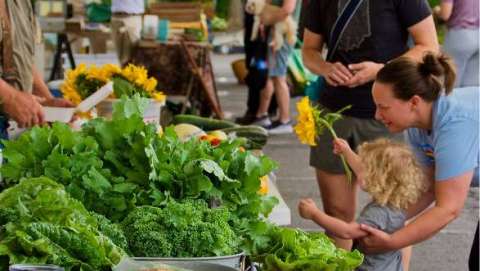 Bloomington Community Farmers Market - July