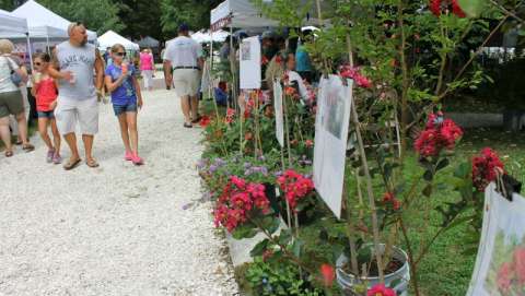 Cape May Fall Crafts & Collectibles Show