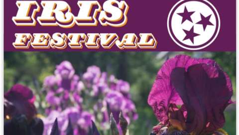 Iris Festival