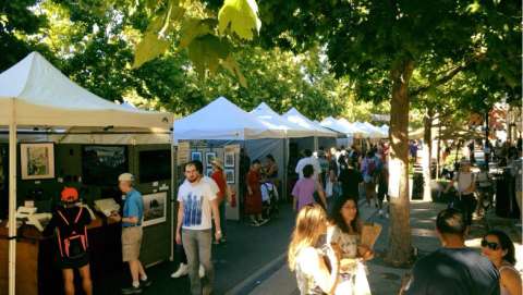 Mountain View Art and Wine Festival