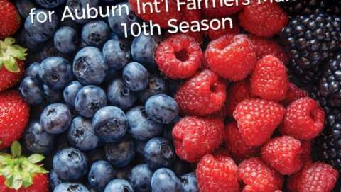 Auburn Farmers Market - June Thru September