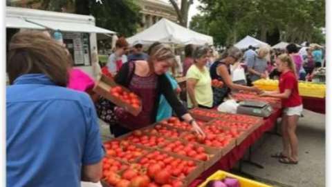 Red Bluff Farmers Market Downtown - August