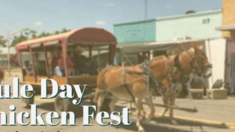 Gordo Mule Day and Chickenfest