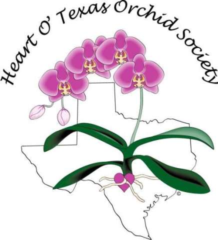 Heart O' Texas Orchid Society Logo