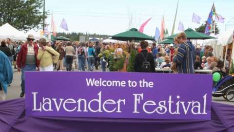 Sequim Lavender Festival