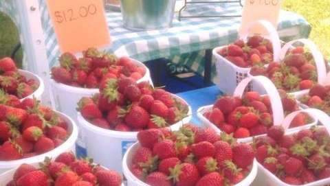 Calera Strawberry Festival