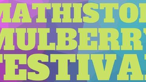 Mulberry Festival