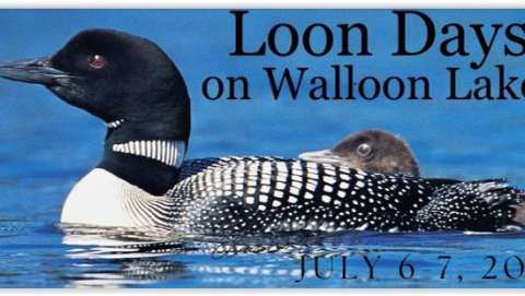 Loon Days on Walloon Lake Art & Craft Show