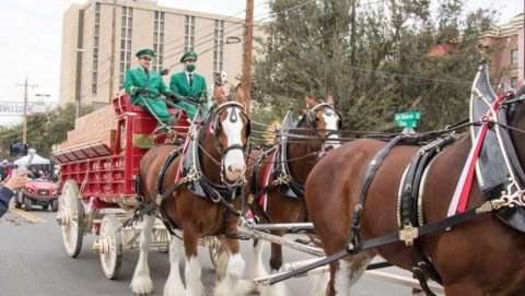 Anheuser-Busch Washington's Birthday Parade