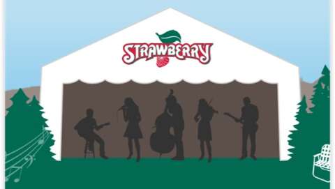 Strawberry Music Festival - Spring