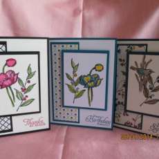 Boxed Set of 12 Everyday Greeting Cards