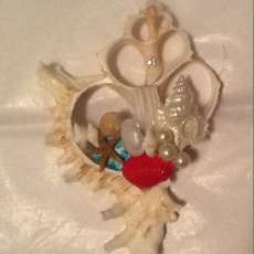 Sea Shell Ornaments, Assortment
