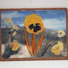 Yellow pansy and Bird of Paradise pressed flower laminated mouse pad, coaster, place mat