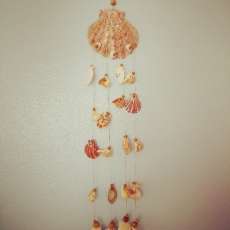 Large Shell Wind Chime
