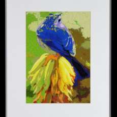 Sketches Series: Blue Bird on Aloe #1