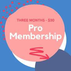 Pro Member access for 3 months