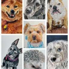 Colored pencil illustrations. Custom pet portraits upon request.