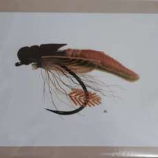 12X16 Giclee Print Extended Woven Caddis