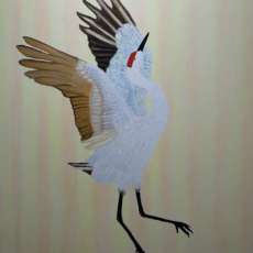 Dancing Sandhill Bird