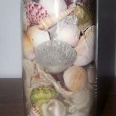 7" Column Shell Candle Holder