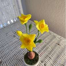 Daffodil (small)