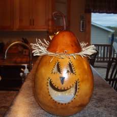 Jack O Lattern Gourd