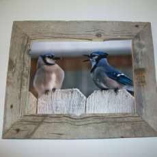 11x14 old barnwood frame with bluebirds.