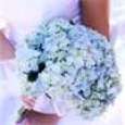 Blue Hydrangea Arrangements 7