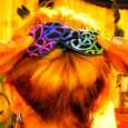 Bun twist