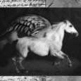 Pegasas Montage Photo