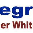 Bumper Sticker
