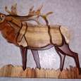 Myrtlewood Intarsia Elk wall hanging