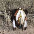 Buffalo Skull Lightning Bolt