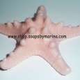 Sea Starfish 3D Soap