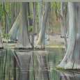 Swamp