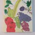 Fruit Art