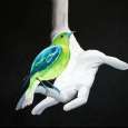 "Bird,Hand"