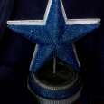 NFL TEAM LOGO