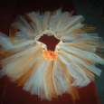 Creamsicle Tutu