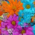 All the flower petals in this world 2