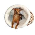 Dog Bed Small Giraffe Print
