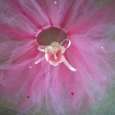 Fuchsia and Light Pink Tutu