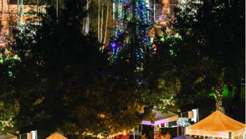 Tree Lighting Featuring Vendor Market