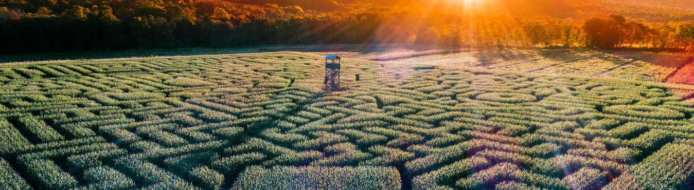 The famous Halloween's Corn Maze in Pennsylvania, Poconos Region, at sunset