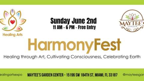 HarmonyFest 2024: Healing Through Art, Cultivating Cons