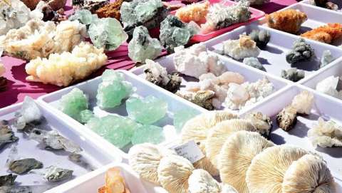 Gem, Mineral, Jewelry, and Fossil Show