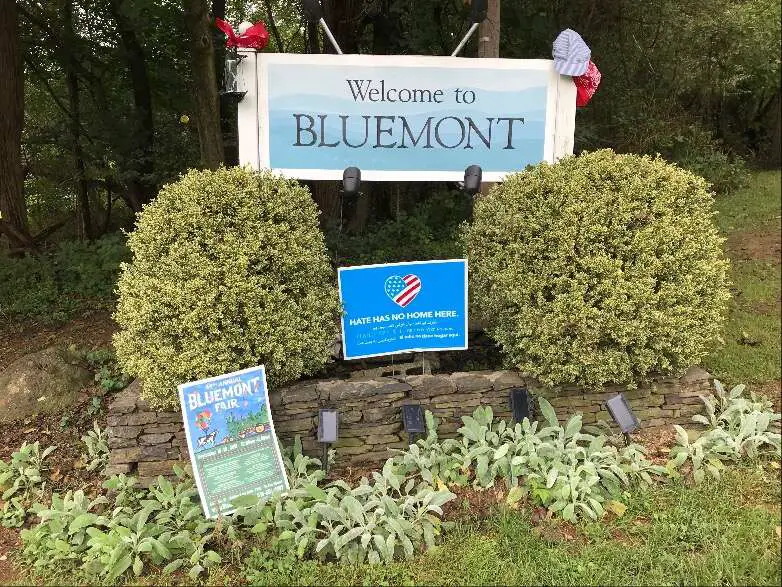 Bluemont Citizens Association