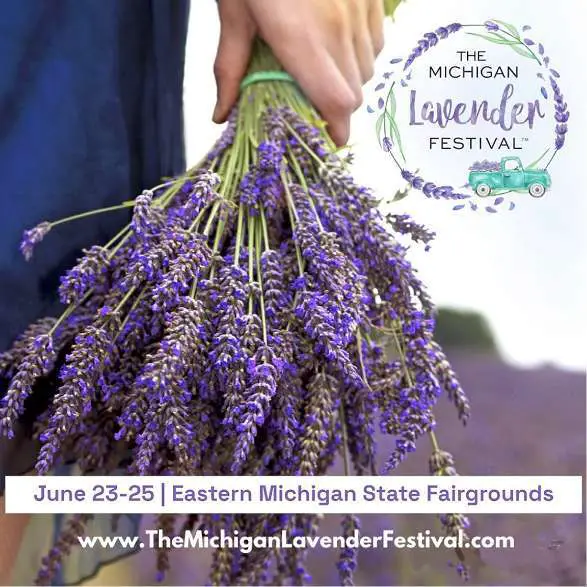 Original Michigan Lavender Festival
